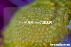 dota2水元素 dota2元素之灵