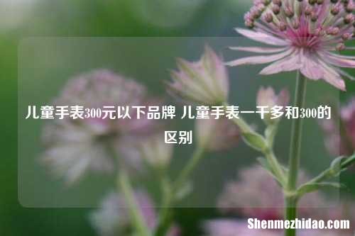 儿童手表300元以下品牌 儿童手表一千多和300的区别