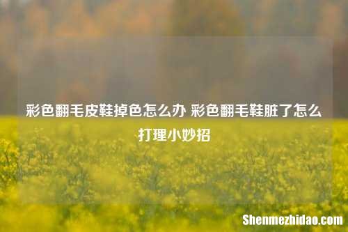 彩色翻毛皮鞋掉色怎么办 彩色翻毛鞋脏了怎么打理小妙招