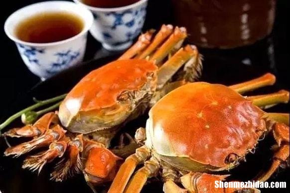 为什么吃柿子不能吃螃蟹 为什么吃柿子就不能吃螃蟹