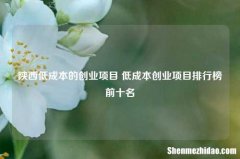 陕西低成本的创业项目 低成本创业项目排行榜前十名