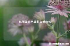 林芊美眉吊牌怎么看年份