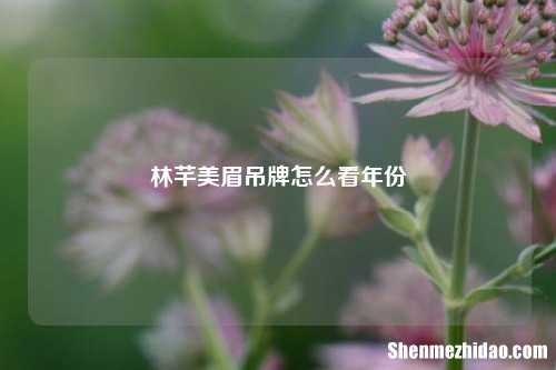 林芊美眉吊牌怎么看年份