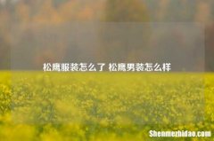 松鹰服装怎么了 松鹰男装怎么样