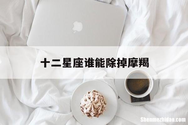 十二星座谁能除掉摩羯 十二星座谁能除掉摩羯女
