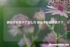 做包子水放少了怎么办 做包子和面水放少了