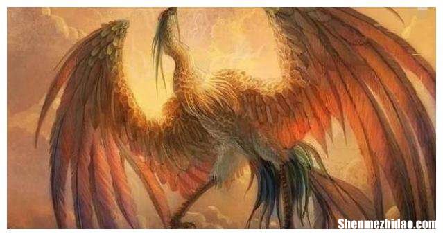 十二星座的神兽是什么 十二星座的神兽是什么样子