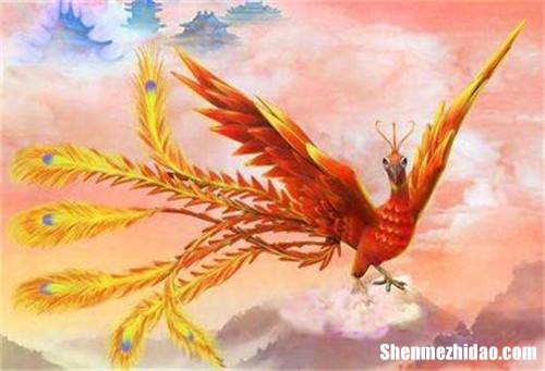 十二星座的神兽是什么 十二星座的神兽是什么样子