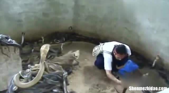 南非占卜视频 南非占卜视频讲解