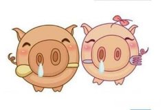 属猪的2015年9月运势 1995年属猪2021年9月运势