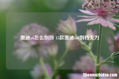 奥迪a6怎么倒挡 15款奥迪a6l倒档无力
