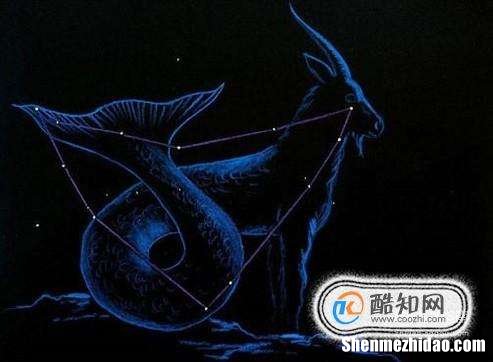 和摩羯较配的星座配对 摩羯座和什么星座较配对