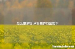 怎么喂米粉 米粉喂养方法如下