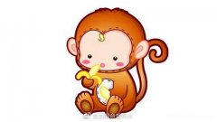 92猴2017年每月运势 92属猴2019年每月运程