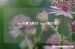 dota比赛飞机打c dota飞机打法