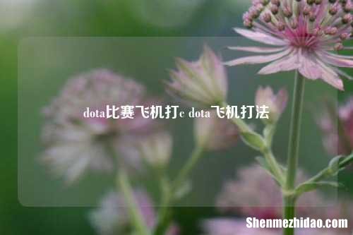 dota比赛飞机打c dota飞机打法