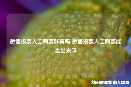 微信投票人工刷票群有吗 微信投票人工刷票能查出来吗
