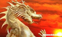 2019年属龙人运势 属龙今年运势2019年