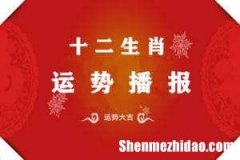 2015十二生肖每月运势 2016年十二生肖每月运势