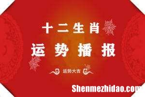 2015十二生肖每月运势 2016年十二生肖每月运势