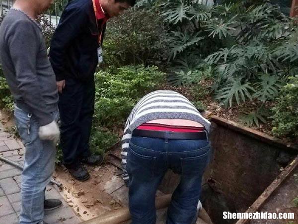 梦到粪池 梦到粪池满了掏粪池是什么意思