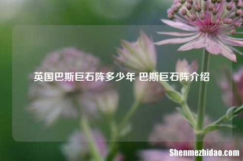 英国巴斯巨石阵多少年 巴斯巨石阵介绍