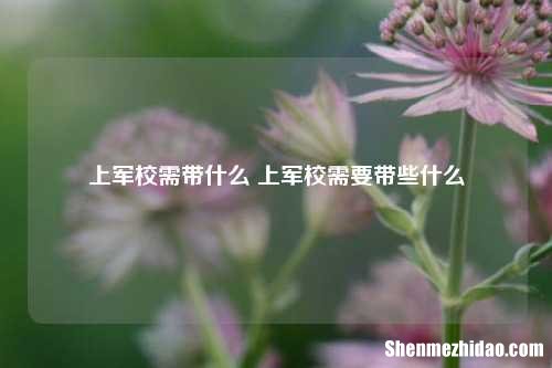 上军校需带什么 上军校需要带些什么