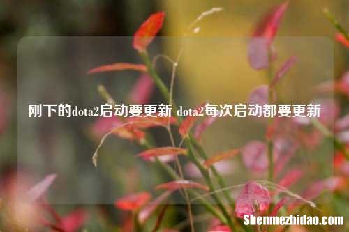 刚下的dota2启动要更新 dota2每次启动都要更新