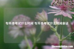 专升本考试什么时间 专升本考试什么时间拿证