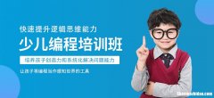 汽车编程维修培训班哪家好 汽车编程维修培训班哪家好点