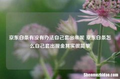 平台羊小咩有没有办法自己用起来呢 平台羊小咩怎么自己套出现金其实很简单