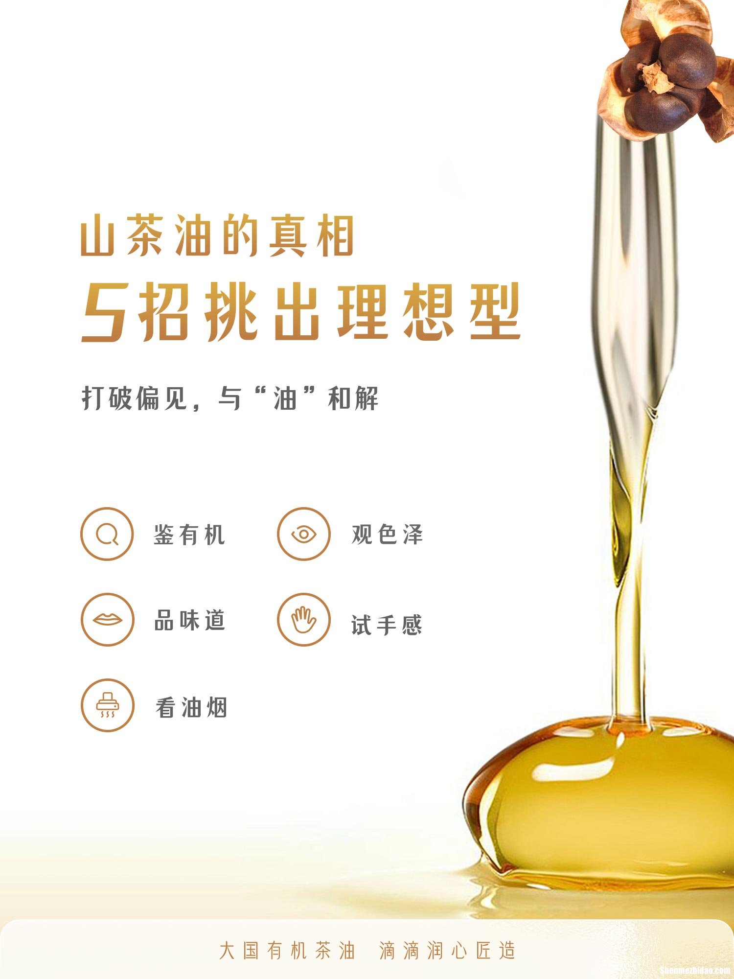 茶籽油怎么辨别 茶籽油如何辨别好坏