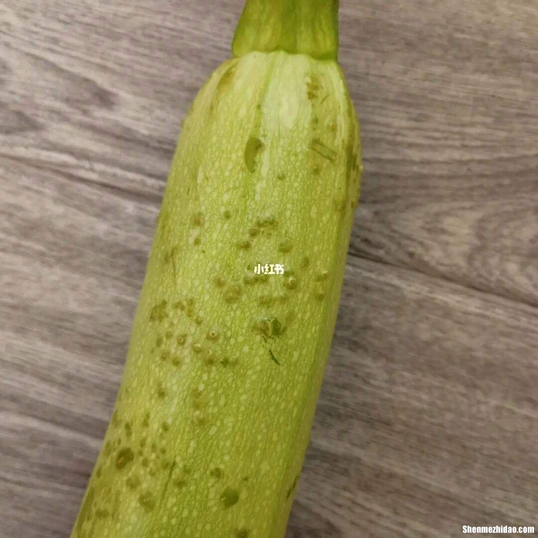 怎么区分笋瓜和西葫芦 笋瓜和西葫芦口感的区别