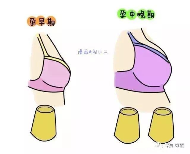 胸小怎么增大 娶了平胸的就没得玩