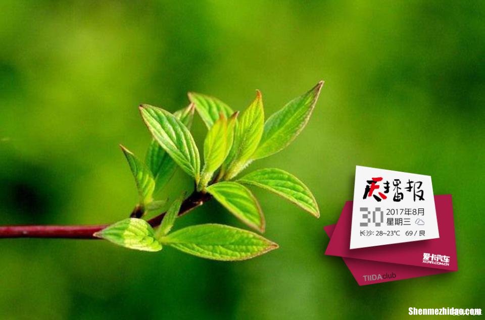 八月初九是多少号 8月初九是阴历还是阳历