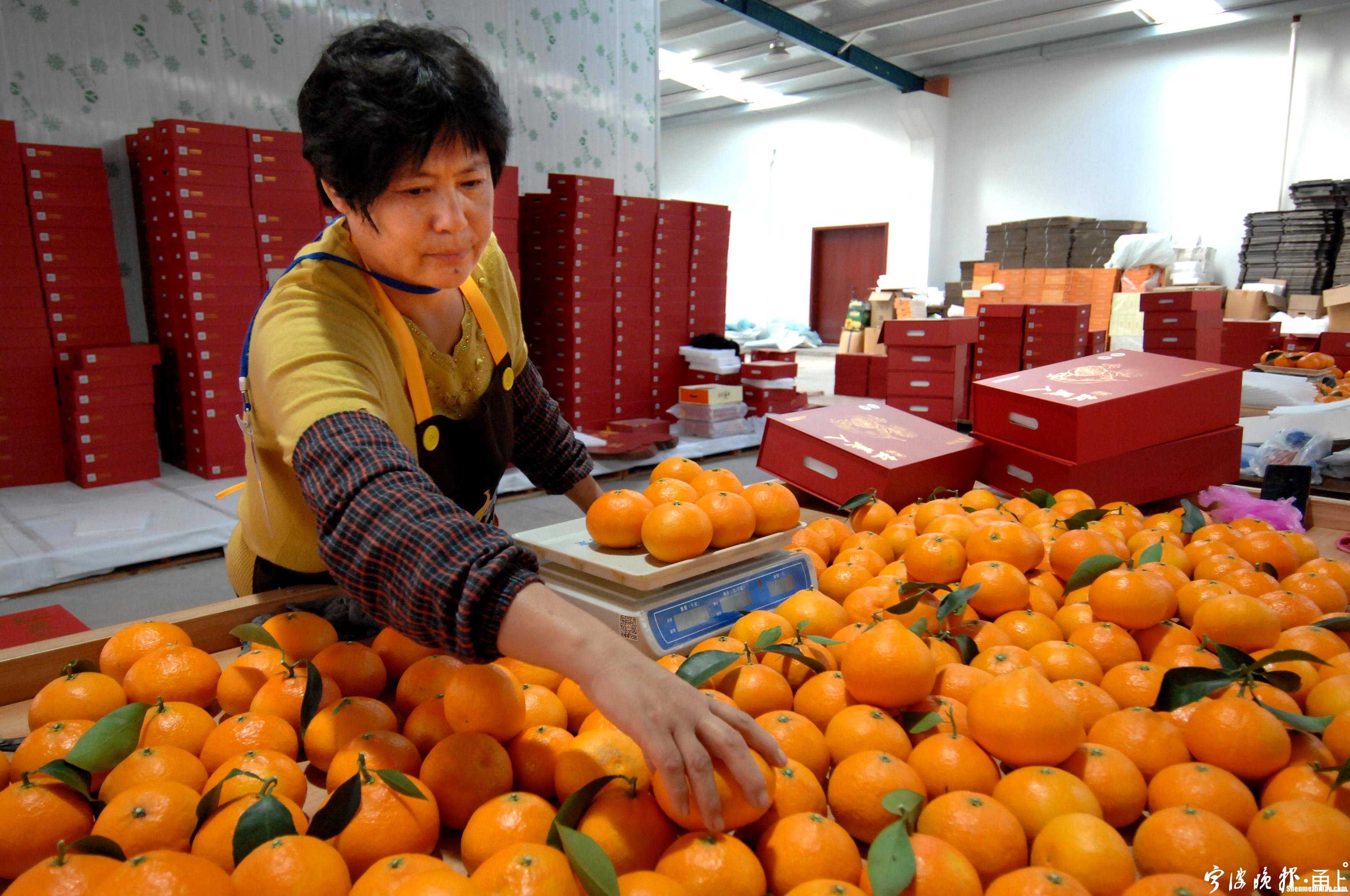 宁波哪里有批发水果的 宁波哪里有批发水果的市场