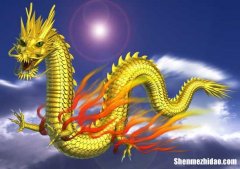 属龙多少岁2018 属龙的多少岁2021