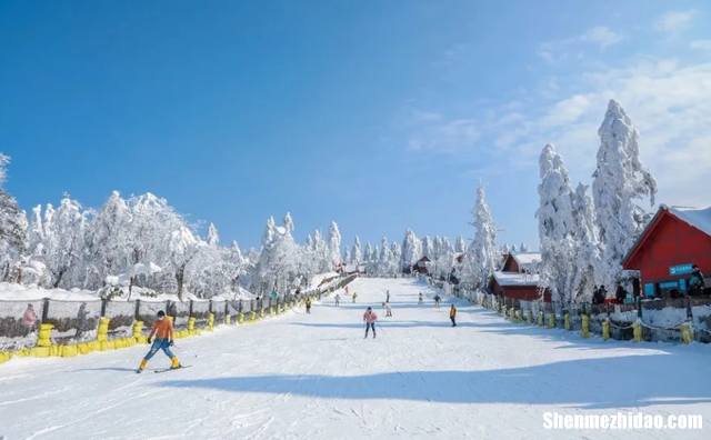 九皇山滑雪多少钱 九皇山滑雪场在前山还是后山