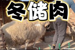 羊肉洗了怎么保存 洗了的羊肉怎么保存