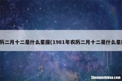 63年12月20日农历多少 63年12月20日是什么星座