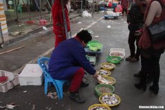 温州水产品批发市场 温州水产品批发市场在哪里