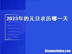 2001年阴历腊月20阳历多少号