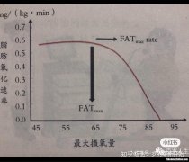 运动多久才开始消耗脂肪 运动多久以后开始消耗脂肪