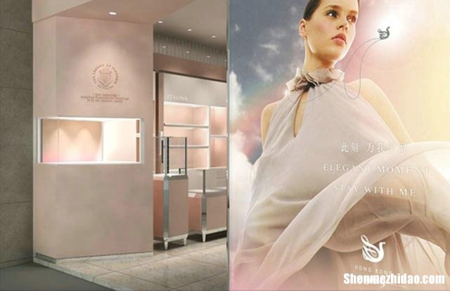 时尚品牌的价值主张怎么写 时尚品牌的价值主张怎么写英语