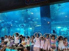 浙江金华水族批发市场