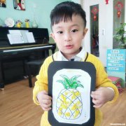 美味菠萝9怎么得 美味的菠萝美术ppt