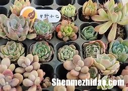 怀孕九个月睡觉呼吸困难怎么办