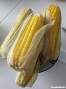甜玉米蒸多久 甜玉米蒸多久能熟多久