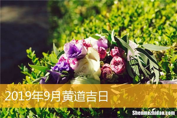 农历9月初九是多少号 农历的九月初九是阳历的多少号