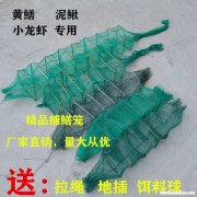 杭州黄鳝笼批发市场 杭州周边哪里有黄鳝钓